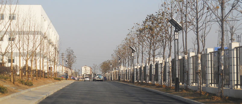 大港中學(xué)太陽能庭院燈