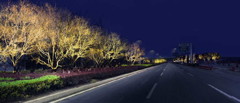 金港大道景觀亮化工程